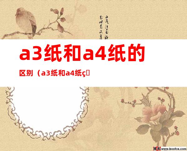 a3纸和a4纸的区别(a3纸和a4纸的区别在哪里)