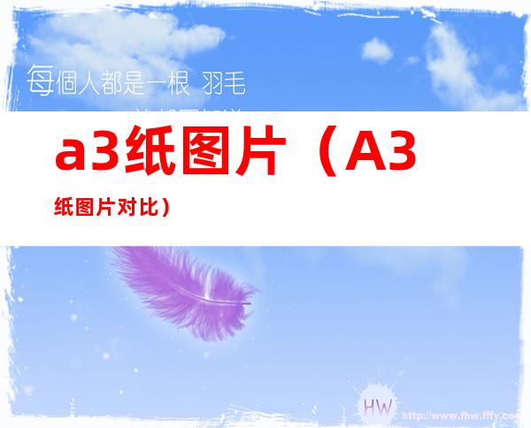 a3纸图片(A3纸图片对比)