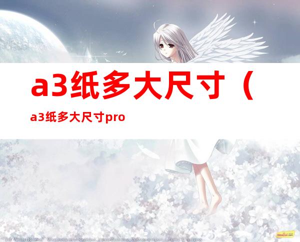 a3纸多大尺寸（a3纸多大尺寸procreate）
