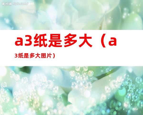 a3纸是多大(a3纸是多大图片)