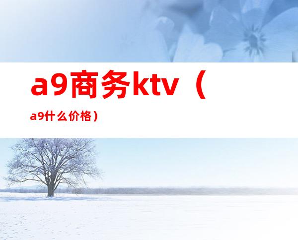 a9商务ktv(a9什么价格)