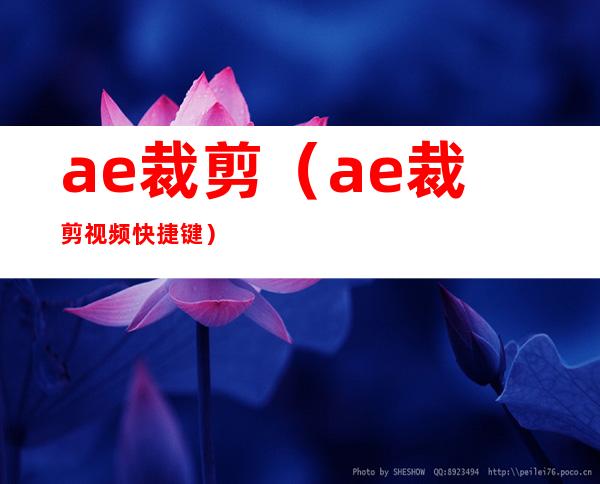 ae裁剪(ae裁剪视频快捷键)