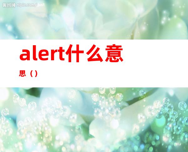 alert什么意思()