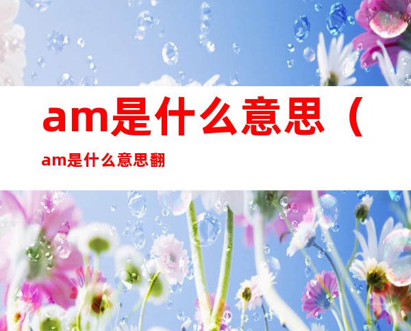 am是什么意思(am是什么意思翻译成中文)