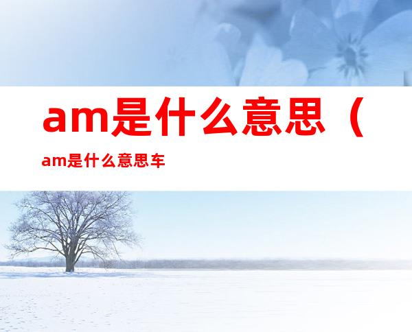 am是什么意思(am是什么意思车上的)