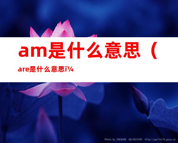 am是什么意思（are是什么意思）