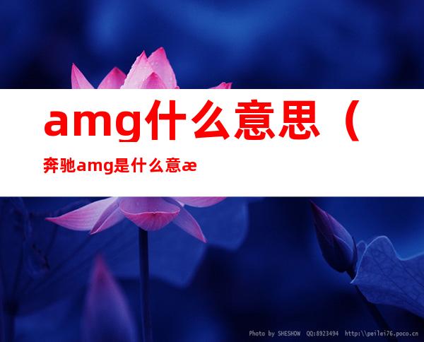 amg什么意思(奔驰amg是什么意思)