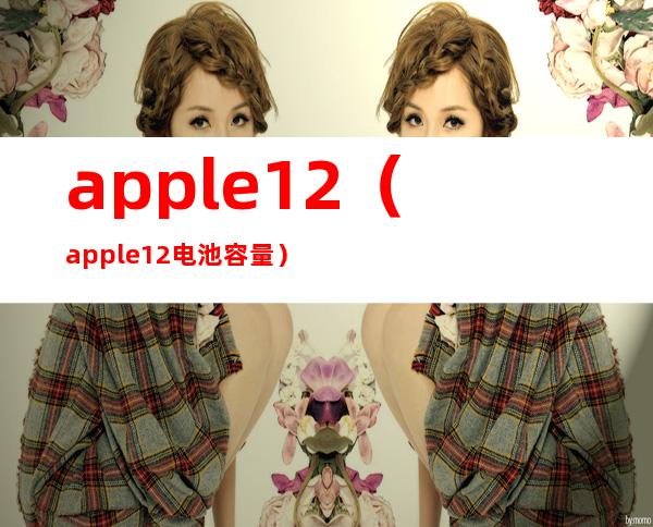 apple12(apple12电池容量)