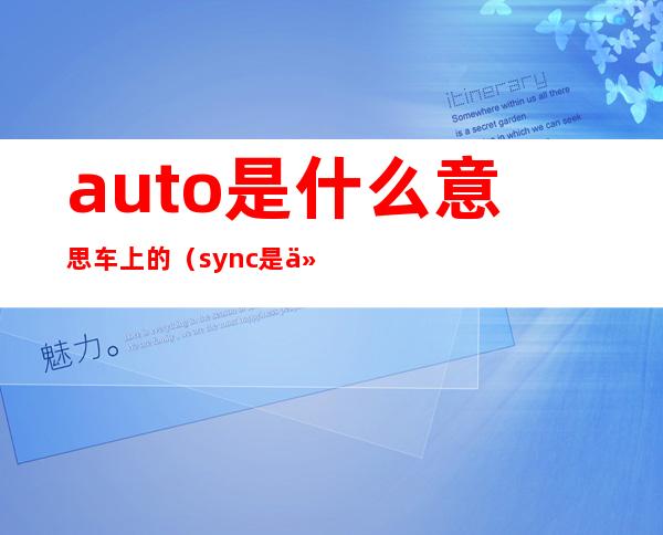 auto是什么意思车上的(sync是什么意思车上的功能)