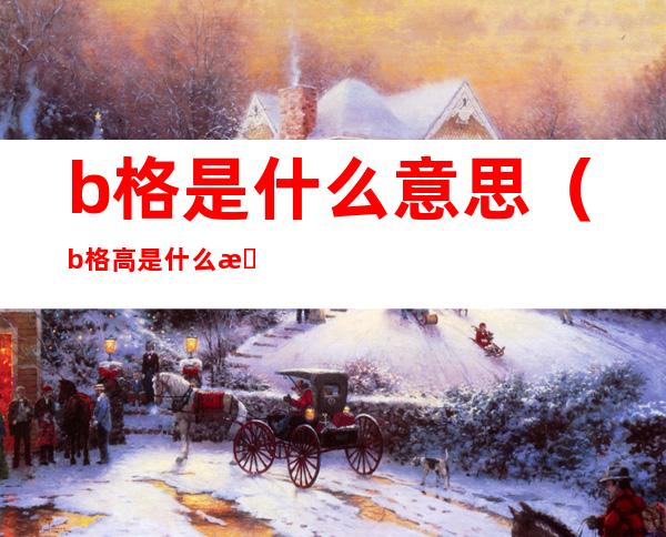 b格是什么意思（b格高是什么意思）