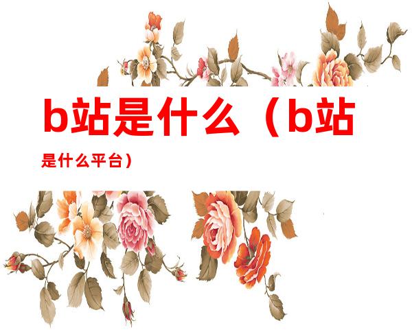 b站是什么(b站是什么平台)