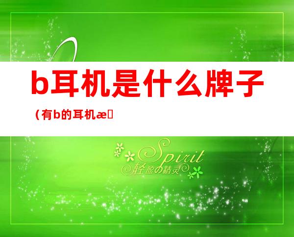b耳机是什么牌子(有b的耳机是什么牌子)