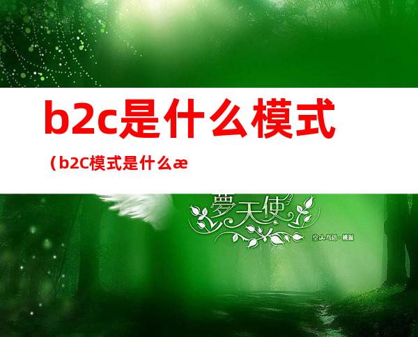 b2c是什么模式(b2C模式是什么意思啊)