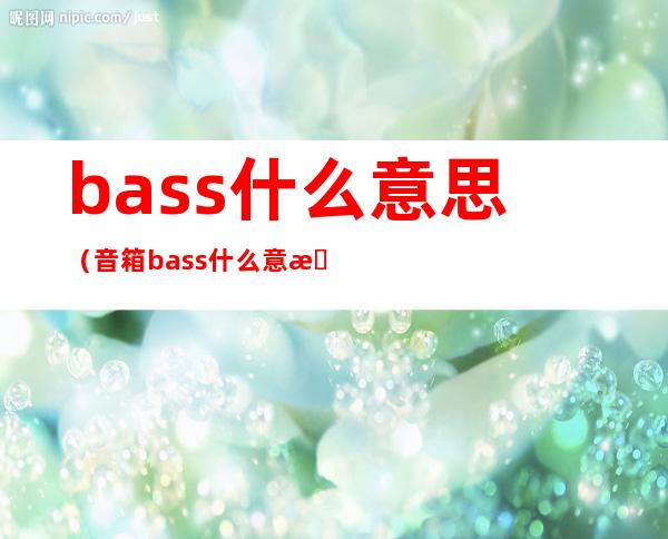 bass什么意思（音箱bass什么意思）