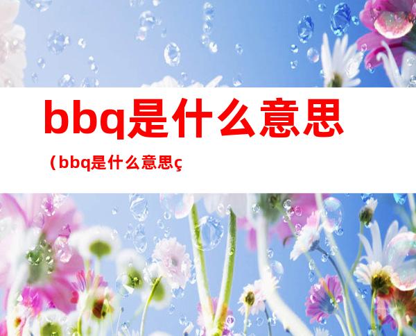 bbq是什么意思(bbq是什么意思网络用语)