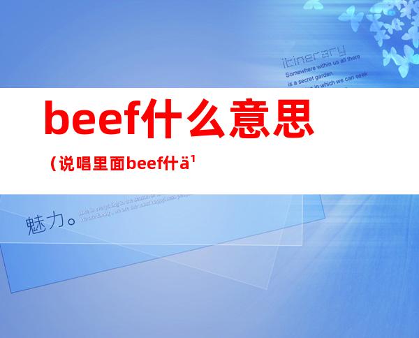 beef什么意思(说唱里面beef什么意思)