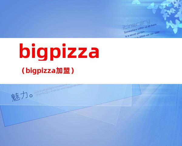bigpizza(bigpizza加盟)