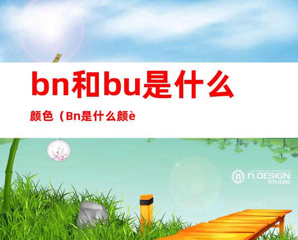 bn和bu是什么颜色(Bn是什么颜色)