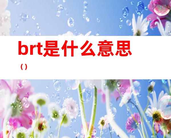 brt是什么意思（）