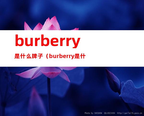 burberry是什么牌子(burberry是什么牌子围巾)