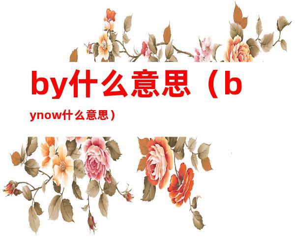 by什么意思(by now什么意思)