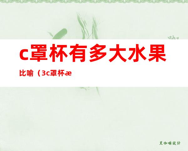 c罩杯有多大水果比喻(3c罩杯有多大用水果比喻)