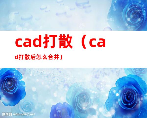 cad打散(cad打散后怎么合并)