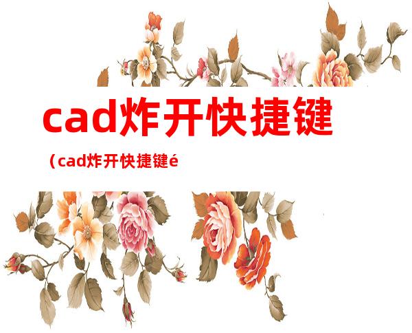cad炸开快捷键（cad炸开快捷键除了x还有db）