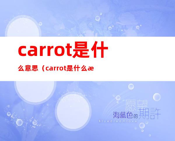 carrot是什么意思(carrot是什么意思中文)