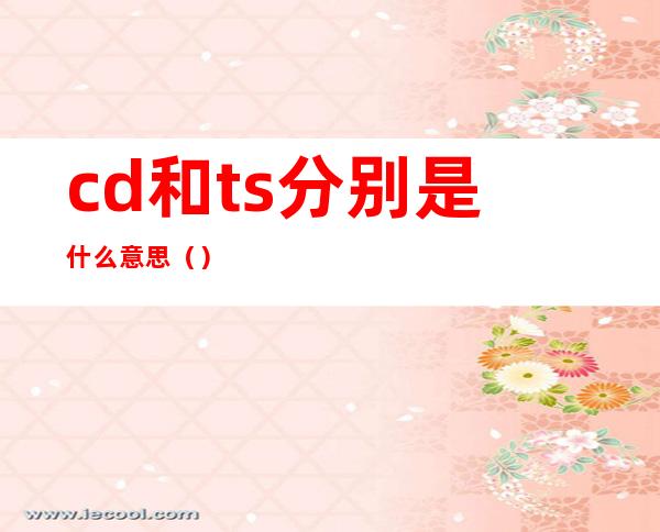 cd和ts分别是什么意思()