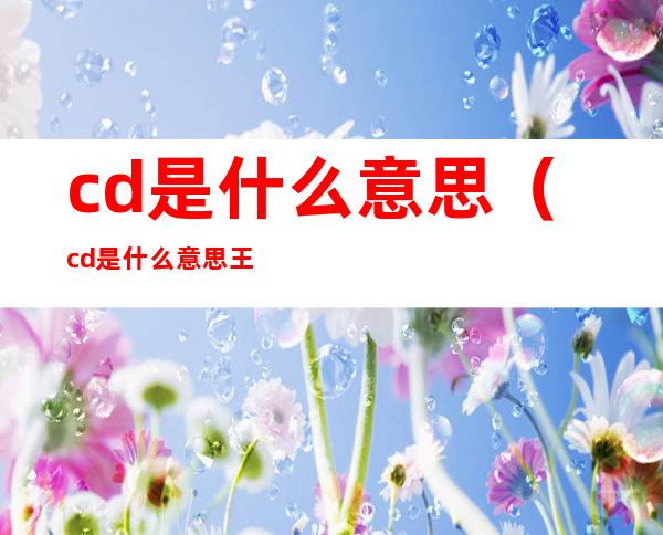cd是什么意思（cd是什么意思王者）
