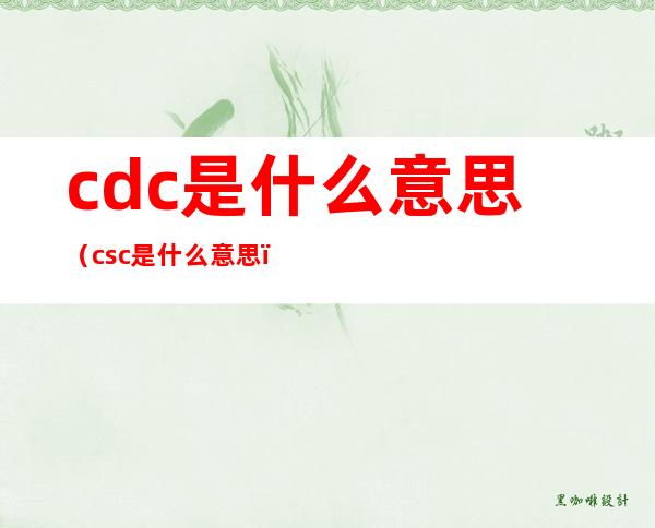 cdc是什么意思(csc是什么意思)