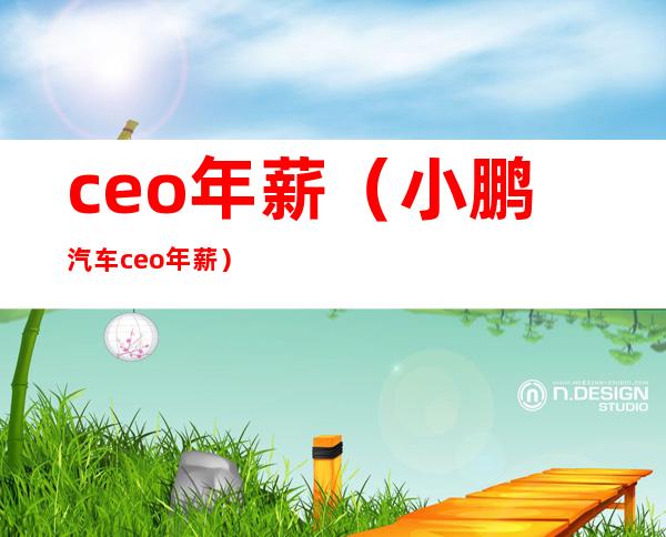 ceo年薪(小鹏汽车ceo年薪)