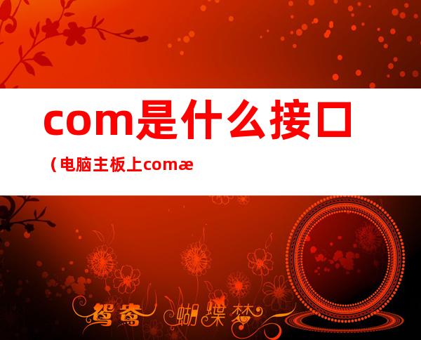 com是什么接口(电脑主板上com是什么接口)