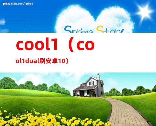 cool1(cool1dual刷安卓10)