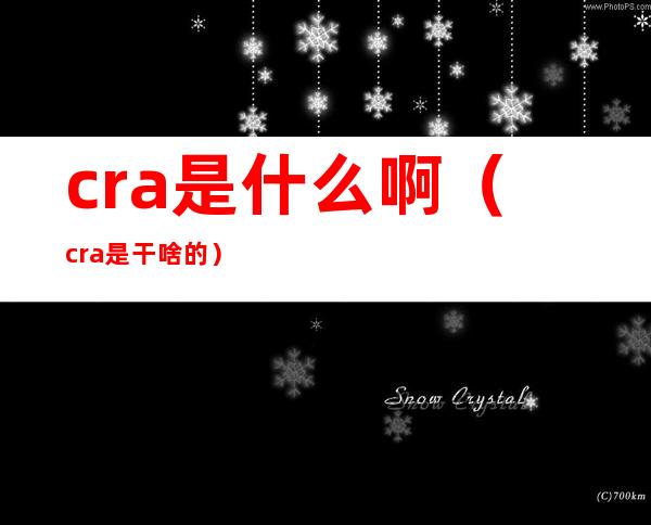 cra是什么啊(cra是干啥的)