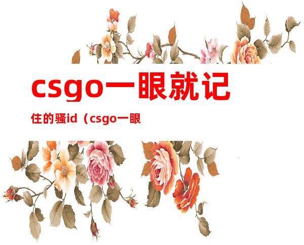 csgo一眼就记住的骚id（csgo一眼就记住的骚ID）