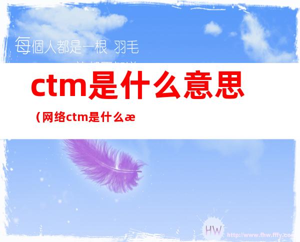ctm是什么意思（网络ctm是什么意思）