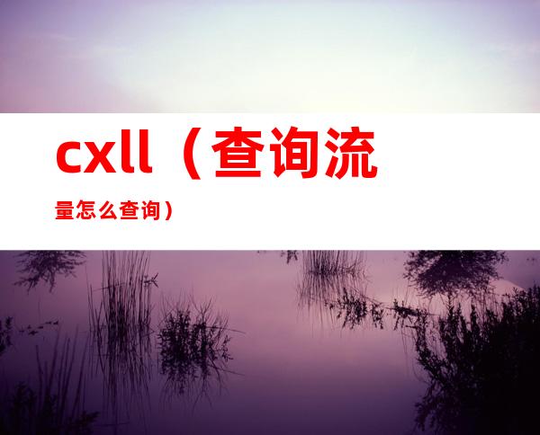 cxll（查询流量怎么查询）