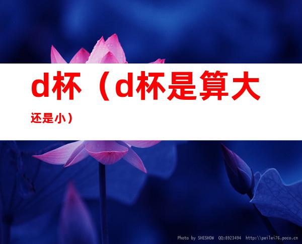 d杯(d杯是算大还是小)