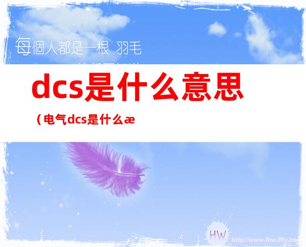 dcs是什么意思(电气dcs是什么意思)