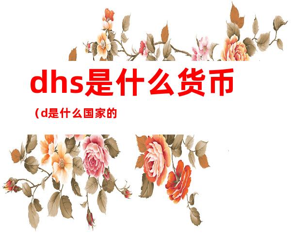 dhs是什么货币(d是什么国家的货币)