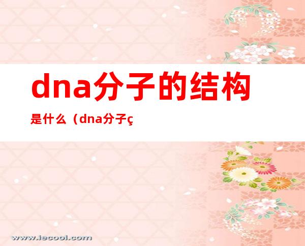 dna分子的结构是什么（dna分子的结构是什么结构0）