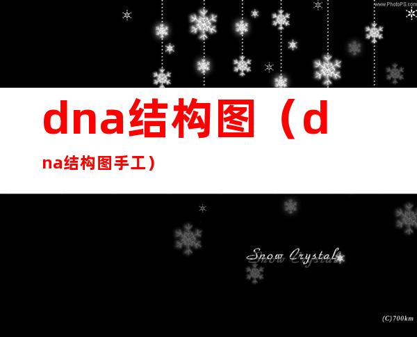 dna结构图(dna结构图手工)