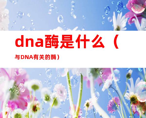 dna酶是什么(与DNA有关的酶)