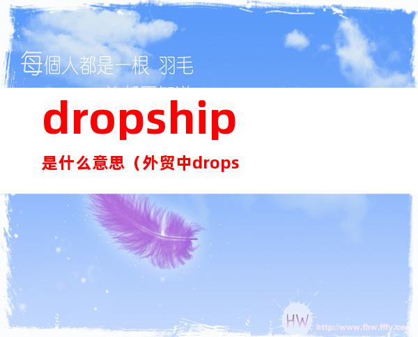 dropship是什么意思(外贸中dropship什么意思)