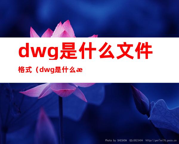 dwg是什么文件格式(dwg是什么文件格式手机下载)