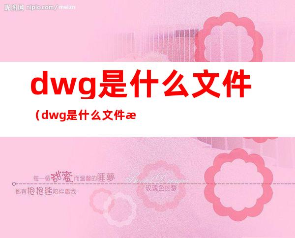 dwg是什么文件(dwg是什么文件格式 手机)