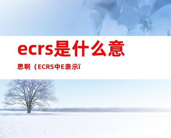 ecrs是什么意思啊(ECRS中E表示)