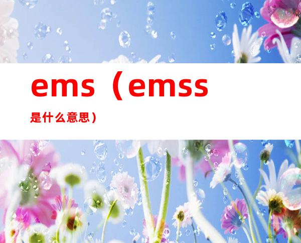 ems(emss是什么意思)